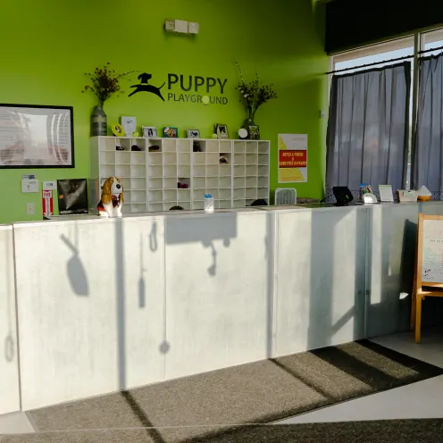 Front Desk at Puppy Playground